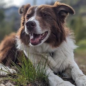 Meet your Posher, Fennel